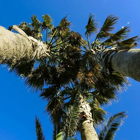 Regent - In Pieno Centro 4* San Benedetto del Tronto